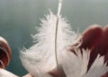 Tingulli i Heshtjes, një simfoni që vetëm shpirti e dëgjon